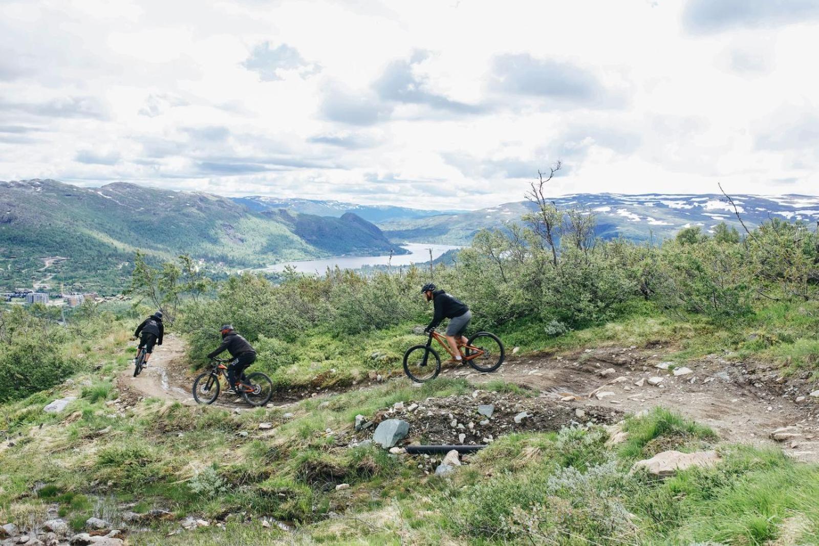Hovdestoylen Leilighet