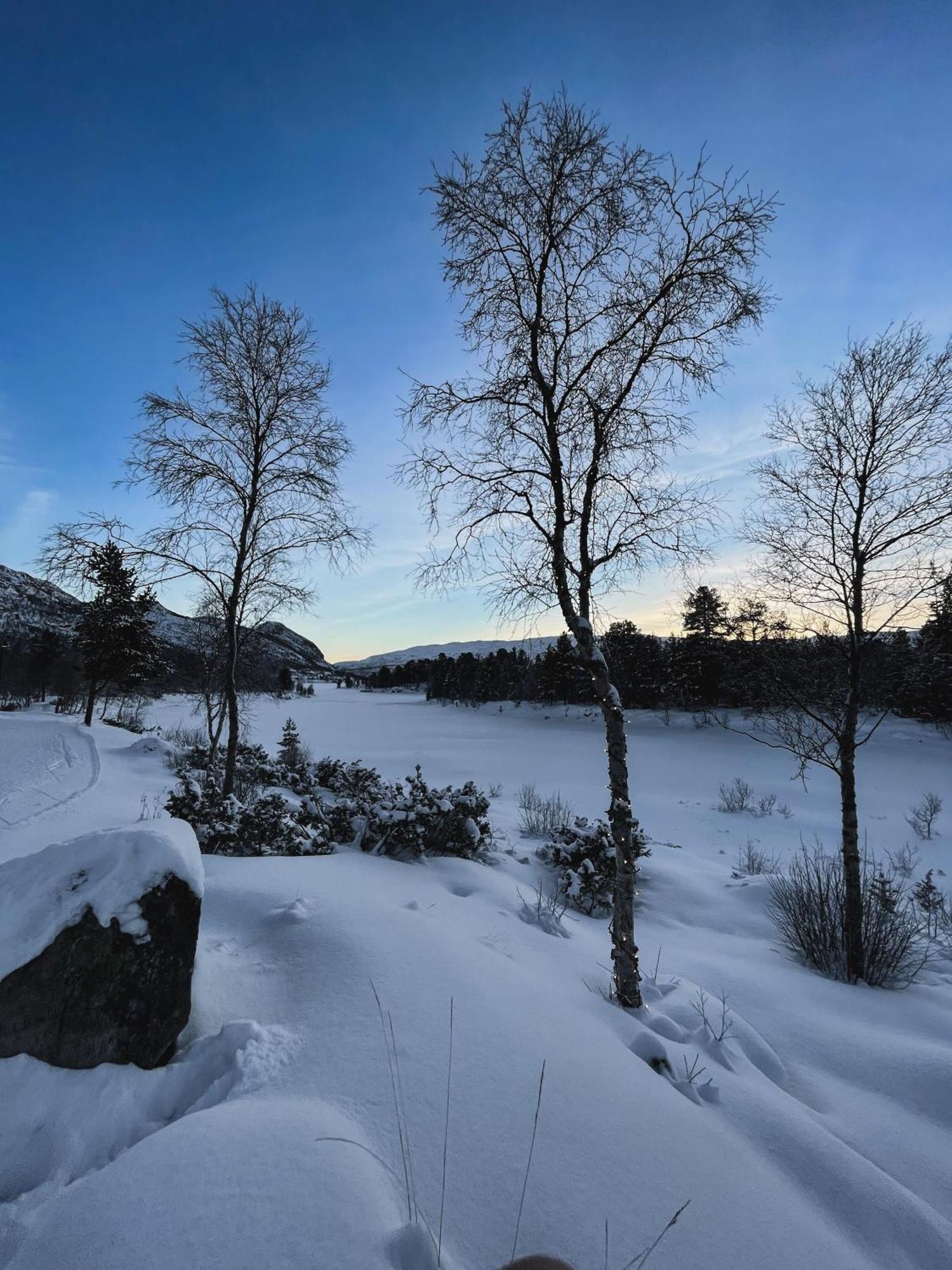 Leilighet Hovdestoylen Hovden (Aust-Agder)
